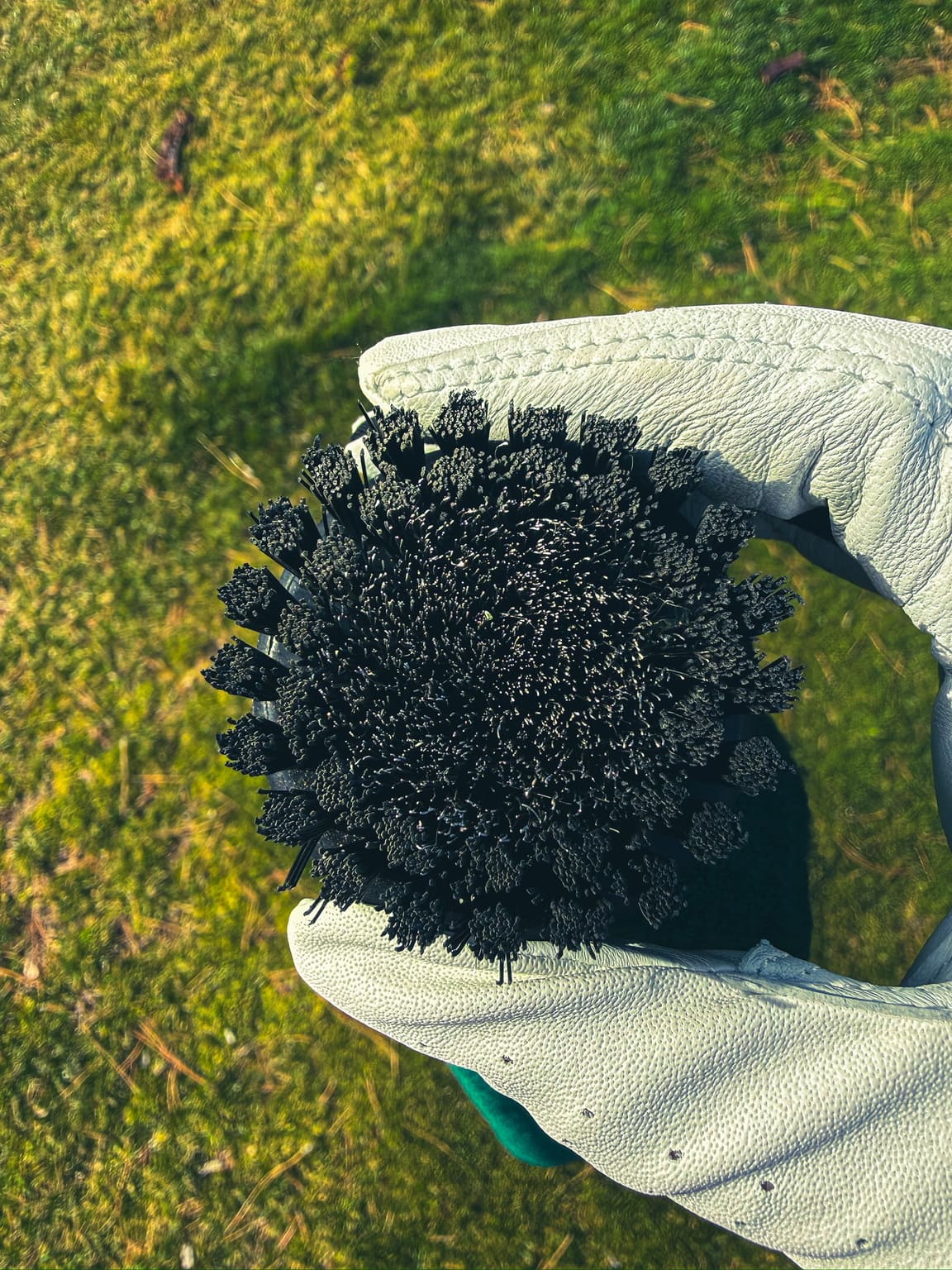 Wire Brush vs Nylon Golf Club: What’s Best for Cleaner Clubs?
